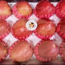 사과 선물세트 제수용 설 추석 명절 고당도 선물용 과일선물세트 부사 가정용 기스 5kg, 사과선물세트(부사) 5kg 13과