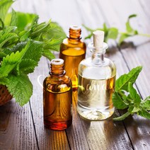 새로핸즈 천연 에센스 대용량 아로마오일 100ml 29종택1 라벤더/티트리/파인/로즈마리/시트로넬라, 14. 윈터그린(E.O)100ml