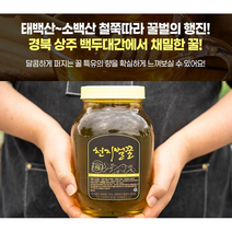 프레시마켓 국산 꿀 백두대간 경북상주 아카시아꿀 선물용 햇 꿀 잡화꿀 2.4kg, 국산 아카시아 꿀 2.4kg