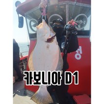 초경량85g 초고감도 광어다운샷로드 카보니아D1 카보니아D1H 외수질로드 농어외수질 우럭라이트지깅 우럭다운샷, 없음