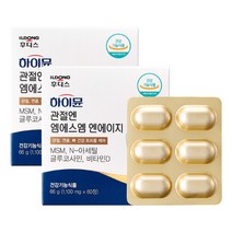 하이뮨 관절엔 엠에스엠 엔에이지 1 100mg x 60정/120정 (1개월분/2개월분), 관절엔 MSM NAG (1개월)