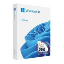 마이크로소프트 Windows 11 Home dsp