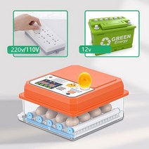 병아리부화기 220110v 12v 자동 부화 기계 16pcs 계란 인큐베이터 새 메추라기 닭 거위 가금류 농장 육추기, 16 더블 110v 미국