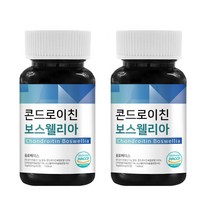 닥터루트 콘드로이친 보스웰리아, 650mg x 60정 2박스