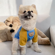 데댕 감성 배색 곰돌이 강아지 사계절 티셔츠, 블루