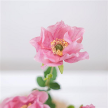 실크플라워 아네모네 조화꽃 가지 50cm 인테리어조화, Mauve(모우브)