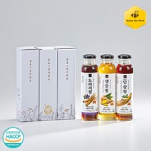 [설날 건강 선물] 꿀을그린사람들 벌꿀넣은 국내산 인삼청 / 도라지청 / 생강청 3가지중 선택1, 3. 생강청 400g
