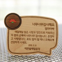 할말있어요 미니카드감사패 카네이션(고급형)-주문제작-사고뭉치, 디자인선택:f.3