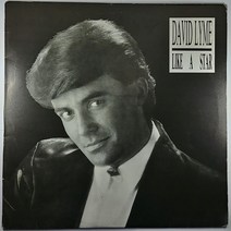 중고 LP DAVID LYME LIKE A STAR. BAMBINA