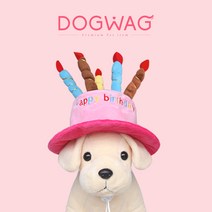 도그웨그 케이크 모자 강아지 고양이 생일 파티 용품, 핑크