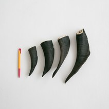 대형견간식 강아지수제간식 체석제거 염소뿔 외각+내각 1세트, 소형(~70g)