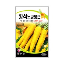황석노랑당근 500립 / 노랑당근씨 당근씨앗 당근씨 노랑당근 씨앗, 단품