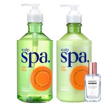 애경 케라시스 두피스파 캄그린 샴푸 750ml + 컨디셔너 750ml (더드림) 케라시스 러블리 퍼퓸 향수 30ml