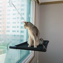 고양이 윈도우 해먹, 블랙