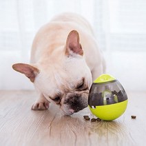 보보스 반려견 오뚜기볼 노즈워크 간식볼 강아지 공룡알 IQ 장난감, 그린, 1개