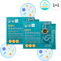 식약처 인증 원데이 프로바이오틱스 3g x 60포 고농축 고함량 고밀도 유산균 비타민 D 장건강 믹스베리 17종 신바이오틱스11종 생 부원료 건강 기능 식품 식약청 인정, 2개
