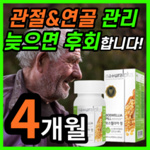 인도산 보스웰리아 플러스 글루코사민 간편한 경구용 먹는 보수 보이스 벨리아 넬리아 엘리아 보스웰릭산 추출 akba kba 관절 연골 노화 무릎 무릅 허리 척추 손가락 보조제 보충제, 120정 / 4개월분