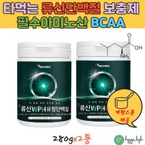 류신 프로틴 유신단백질 가루 필수아미노산 bcaa 벌크업 WPH WPC 헬스 부스터 단백질 보충제 뉴신 280gX2통 콩단백질 식물성 동물성 저분자 완두콩 구아검 L로이신 발린