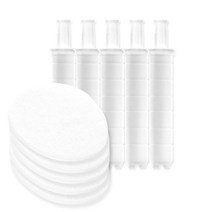 이온폴리스 V 녹물염소제거 샤워기 바디필터, 르다비디앙 1