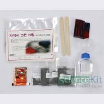 지가장실험 자기력선 관찰 4인 과학준비물 과학기자재 교육장난감 과학 과학수업 교구 과학실험교구 초등