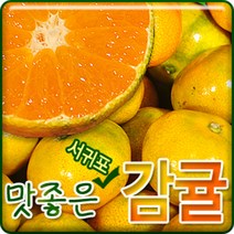 서귀포농원 22년 첫수확 고당도 감귤 5kg 10kg, 1개, 고당도 최상품 감귤 3kg꼬마소과