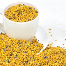 장명식품 스페인산 벌화분, 500g, 1개