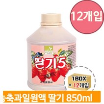 대용량 과일 농축액 850ml 12개 딸기 음료 원액 베이스 카페 스무디 슬러시