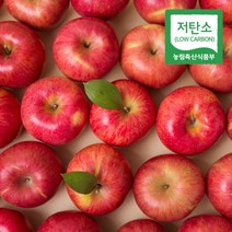경북 의성 저탄소인증 홍로 부사 사과 정품, 1박스, 당도선별 사과 3kg 꼬마사과