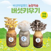 버섯키우기, 금빛1+노루1+느타리1
