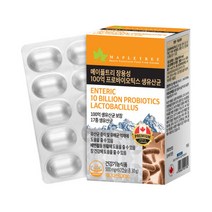 메이플트리 장용성 100억 프로바이오틱스 생유산균 2개월분 106892