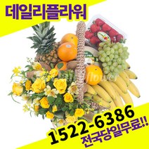 과일바구니 출산 집들이 선물 병문안 전국당일배송 꽃배달