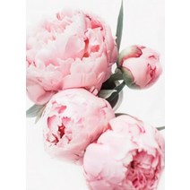 인테리어러그 입체적인 꽃무늬패턴의 거실카페트