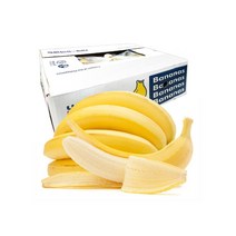 대용량 고당도 바나나 8~6손(13kg) 1박스, 대용량 고당도 필리핀 바나나 6손(중대과)13kg