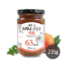 브랜드없음 닥터트루 스키니 스테비아 과일청 자몽 235g, 단품없음