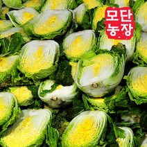 [4월예약]괴산절임배추 20kg/햇배추라 싱싱도최강, 6월12일발송-13일도착