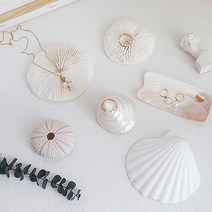 라이트앤 해양 바다소품 산호 조개 오브제 여름소품, 조개 오브제 - 핑크빛 성게