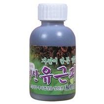 자연산 느릅나무 액(120ml)지리산 유근피 엑기스 즙, 120ml