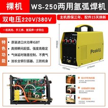 알곤 용접기 아크 아르곤 공업용 전기 스폿 가정용, 단일사이즈, F_WS-250 3노브