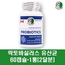 락토바실러스 복합물 유산균 프로바이오틱스 프리바이오틱스 분말 캡슐 비피더스균 장케어 가세리 플란타럼 100억마리 17종 영양제 캐나다, 1개