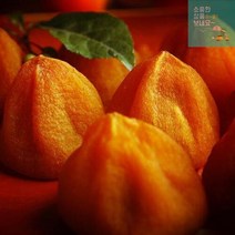 건시곶감 실속형곶감 곳감 상주 곶감 꿀곶감 500g