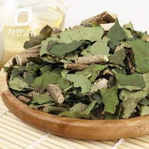 자연닮음 야생 건조 말린 황칠나무 차 잎 300g