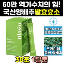속편한 역가수치 높은 곡물 발효 양배추 효소 분말 탄수화물 단백질 가르스토 프로타아제 파우더 알파 아밀라아제 역가수치높은효소 효능 분해 제품 식품 스틱 효소제 홈쇼핑 가루