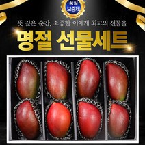 애플망고 9과 선물세트 설날선물 명절선물