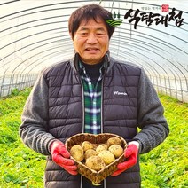 식탐대첩 식탐대첩 국내산 햇 수확 감자 3kg 대, 단일옵션