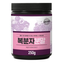 케이웰니스 국내산 복분자가루 250g, 1개, 단품