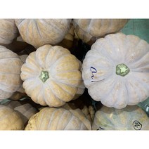 국내산 신선한 패밀리농산물 늙은호박 맷돌호박 소 중 대, 늙은 호박 4~8kg 내외 (대)