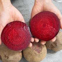 세상모든농부 레드비트 강원도 제주 햇 비트, 레드비트 3kg 특