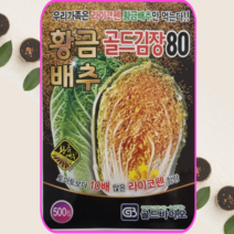 식물세계 황금배추 황금골드김장80 배추 씨앗 500립 23년 포장, 1개