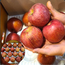 경북 꿀 부사 사과 알뜰용 흠집사과 못난이사과 가정용 일반용, 중대과 (13-15과 5kg)