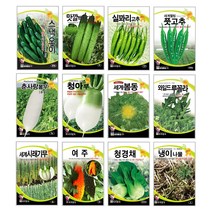 오이씨앗 아삭한 주렁주렁 미니 청스낵오이 노각 백다다기 종자 씨앗몰 봄 재배 키우기 심기 텃밭가꾸기 웰빙 쌈채소 궁채나물 줄기상추 씨앗, 산마늘 40립 (명이나물)